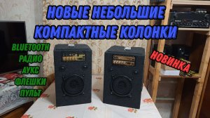 Собрали новые небольшие компактные самодельные колонки NEW