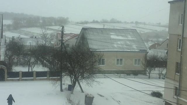 Изображение 036.mp4 смотреть онлайн