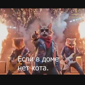 Кошачий Рок-н-Ролл