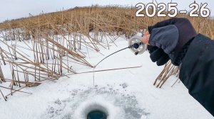 ЗАБУРИЛСЯ В ТРАВУ, ТОЛЬКО СЕЛ и КИВОК ЗАГНУЛО! Рыбалка на безмотылку зимой в 2025-26