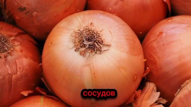 Мужчины, ешьте ЛУК каждый день – результат вас удивит! смотреть онлайн