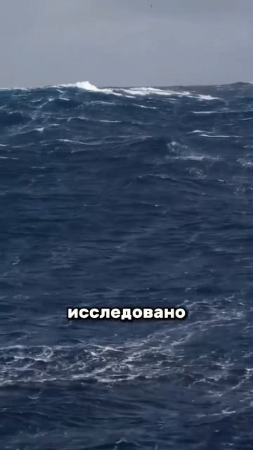 Именно так выглядят последние часы корабля в этом море смотреть онлайн