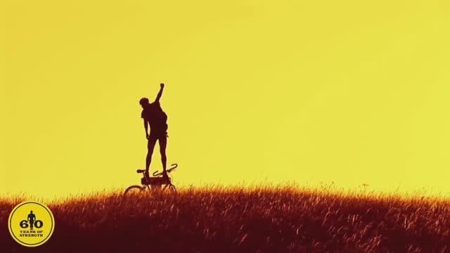 Gold’s Gym — мировая сеть фитнес-центров с богатой историей! смотреть онлайн