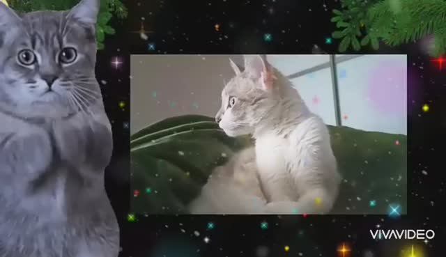 ДОБРОЕ УТРО. С НАСТУПАЮЩИМ НОВЫМ ГОДОМ !