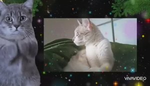 ДОБРОЕ УТРО. С НАСТУПАЮЩИМ НОВЫМ ГОДОМ !