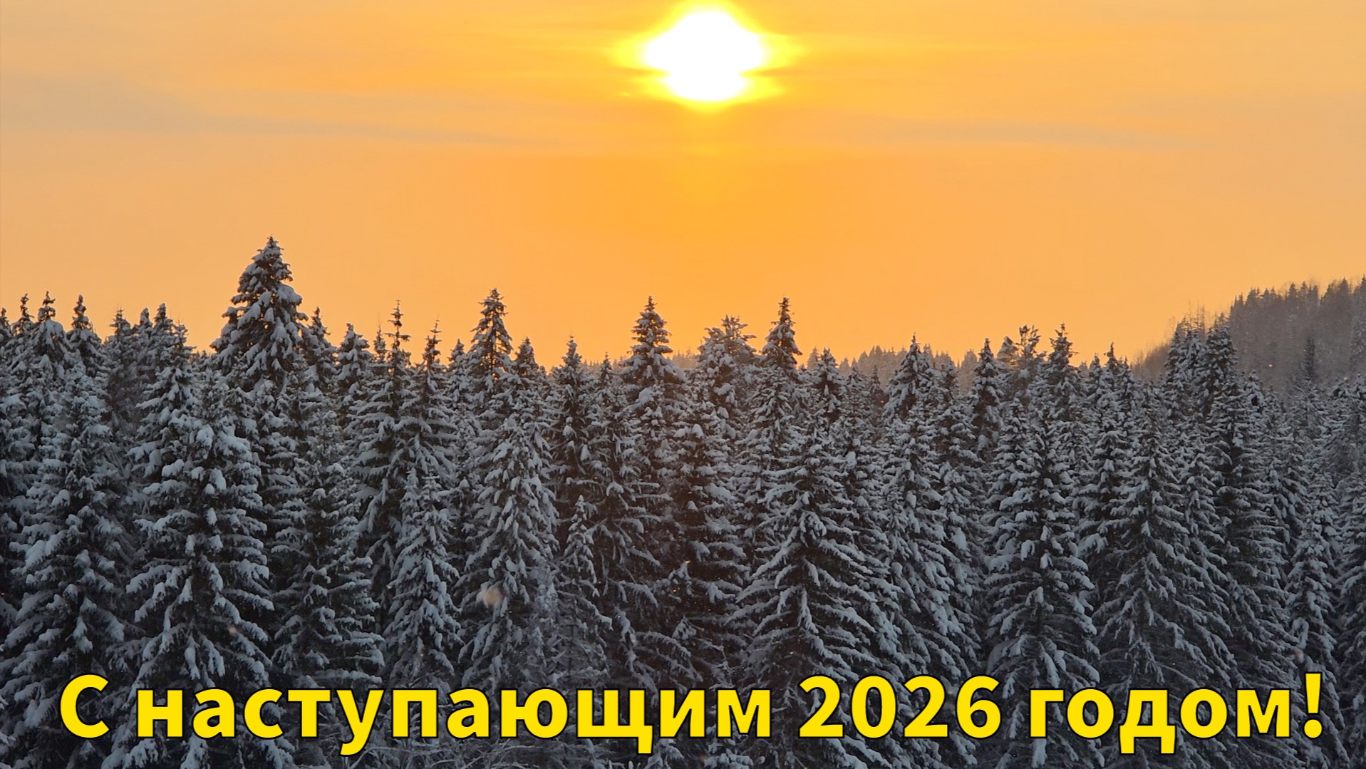 Заброшенная деревня | Руины старого дома | Прогулка в тишине | Место силы | Ёлка 2026 | Лес! смотреть онлайн