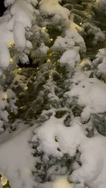 Мирочка 💖💖💖 смотреть онлайн