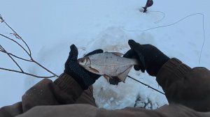 на прутки у дома 1