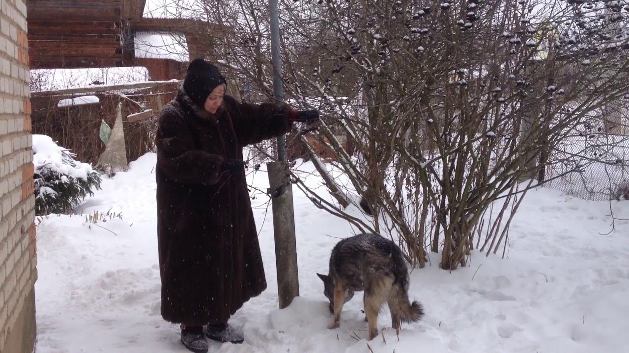 2 марта 2018 г. смотреть онлайн