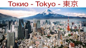 Токио, Япония - Знакомимся со страной и столицей: Мэрия Столицы, Храм Мэйдзи и Аллея Гинкго