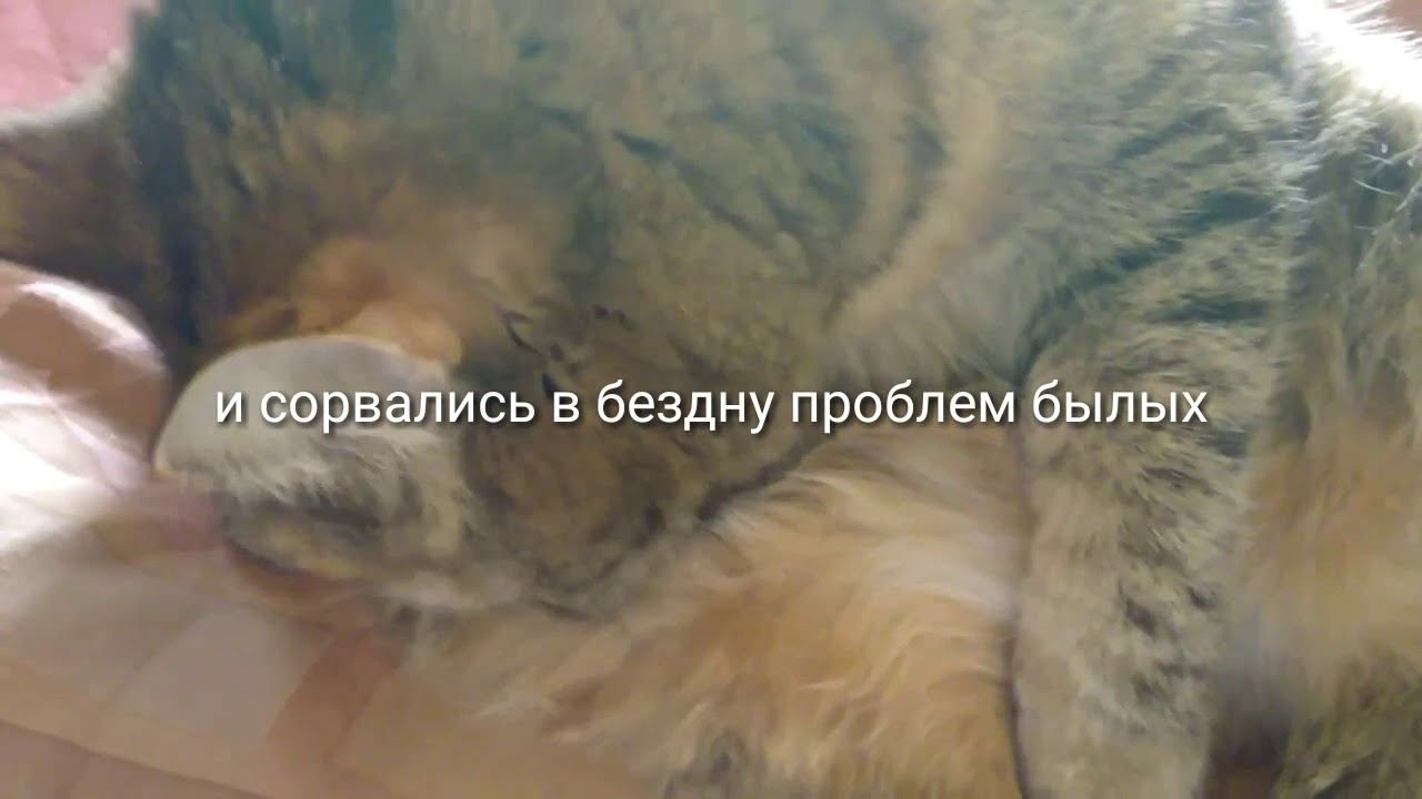 "Один на всех" смотреть онлайн