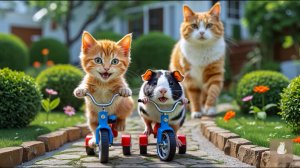 😹Мама кошечка смотрит как катается на велосипеде её маленький сыночек и их милый друг хомячок🔥