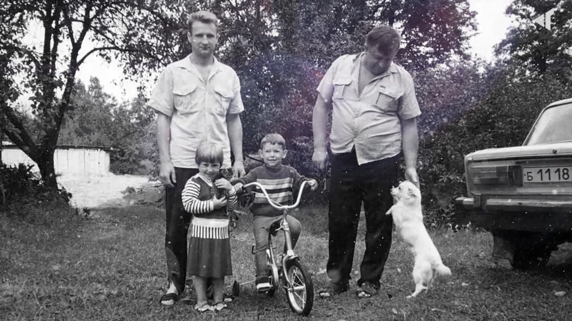 ДИНАСТИЯ ДАВЫДЧИК смотреть онлайн