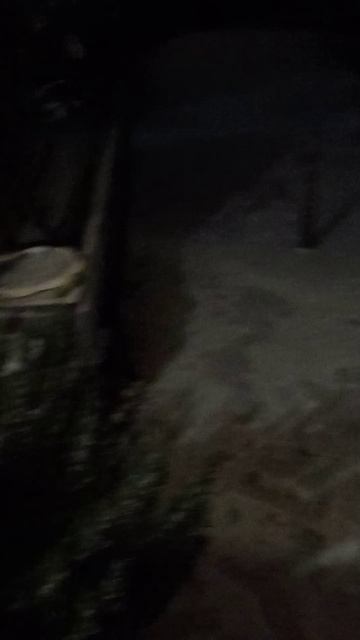 Первый снег ! Ура !🌨🎉🎄