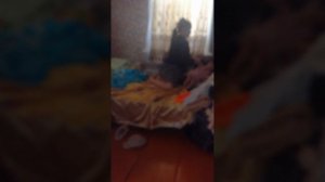 VID_20251230_122155.mp4