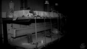 ДАЛЬШЕ БОГА НЕТ! Страшные истории на ночь 🫣🫣🫣