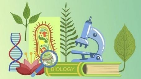 Биология 9 класс. Клеточный уровень. смотреть онлайн