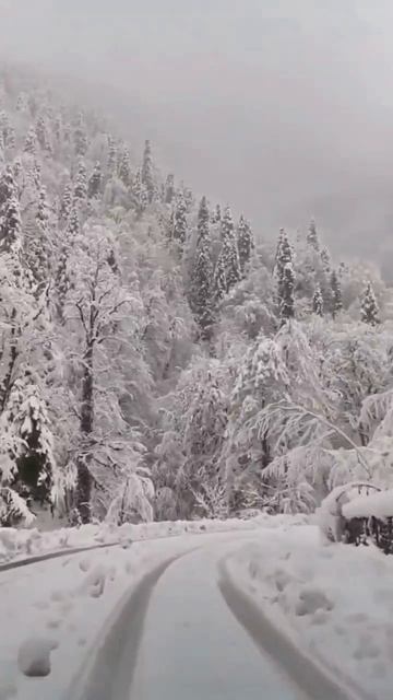 Абхазия, дорога на озеро Рица сегодня (30 декабря, ЗИМА 2025-2026) смотреть онлайн