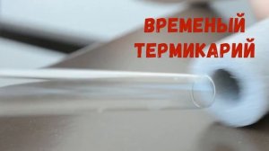 Как и где найти термитов в Сочи и окрестностях