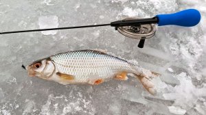 Новогодняя рыбалка с подписчиками. Ловля плотвы на безмотылку. Зимний мормышинг.