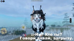 Да, с юмором я не очень близка. | Кушате.