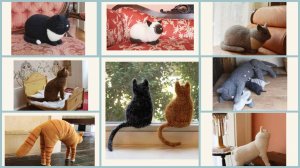 Любая кошка с описанием.