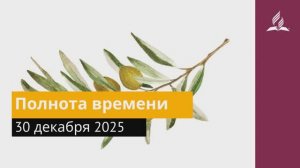30 декабря 2025. Полнота времени. Под сенью благодати.