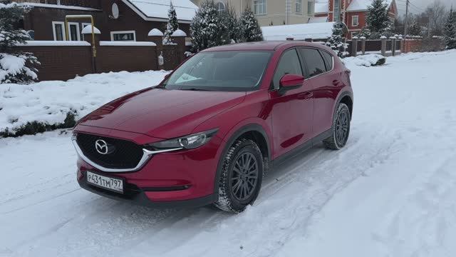 IMG_3444 смотреть онлайн