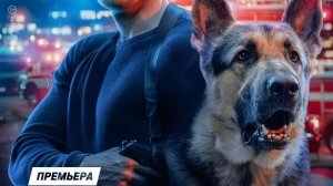 Сериал «Мухтар. Он вернулся!» Анонс и точная дата выхода