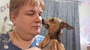 подвожу итоги/ собираю подарки/ варю холодец