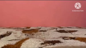 (Котики И Учёный) 1 серия "Первая Работа" (6+)