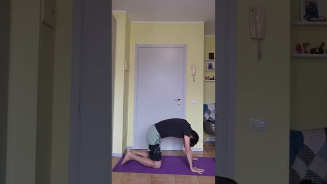 гимнастика для всего тела для всех возрастов смотреть онлайн