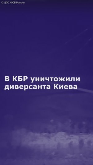 В КБР уничтожили диверсанта Киева