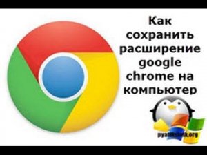 Как сохранить расширение google chrome для переноса