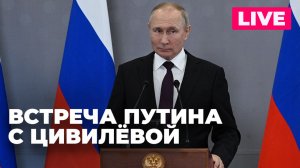 Путин проводит встречу с заместителем министра обороны России Цивилёвой