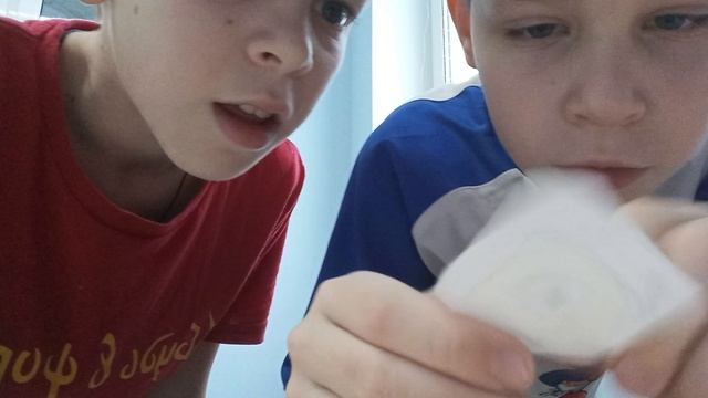топ5  команд Ярика и Димы