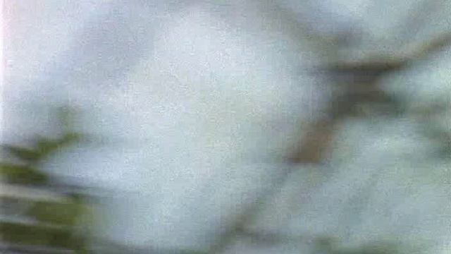 Вы считаете меня ведьмой? смотреть онлайн