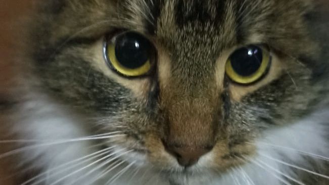 МУЗЫКА смотреть онлайн