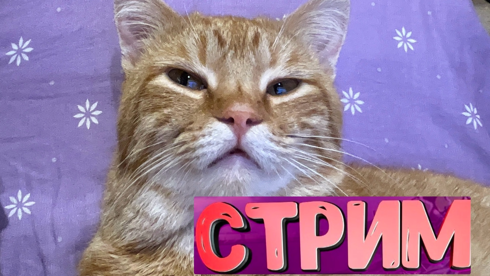 Настроение перед Новым годом🎄 смотреть онлайн