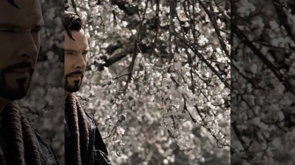 Wanda and Dr.Strange