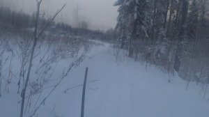 Охота на зайца 29.12.2025г.