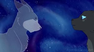 пепелица/коты воители/мап