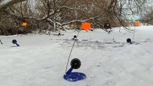 ДИКАЯ РЫБАЛКА НА ЖЕРЛИЦЫ В ДРЕМУЧИХ ЛЕСАХ