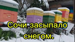 Сочи засыпало снегом.