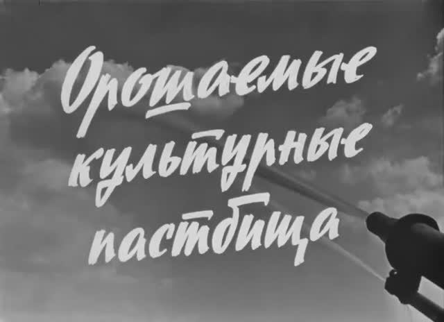 Орошаемые Культурные Пастбища 1970 год смотреть онлайн