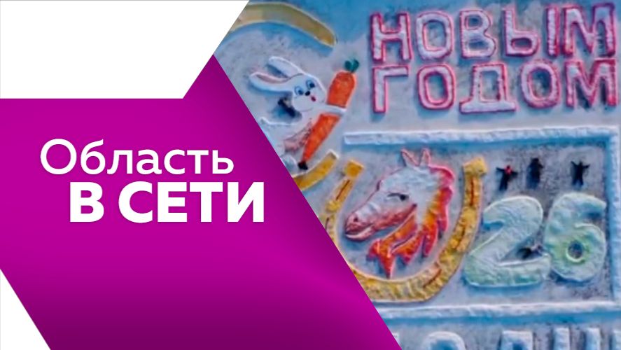 Область в сети №331
