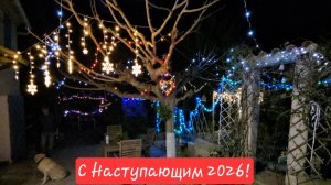 29 декабря 2025 . Зимой в Провансе и не пахнет. Мимоза зацветает, а я черенкую герани!)