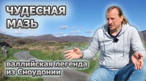 Чудесная мазь (Fairy Ointment) - легенда из Уэльса