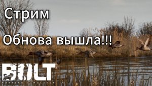 обновление в BULT! Не первый взгляд