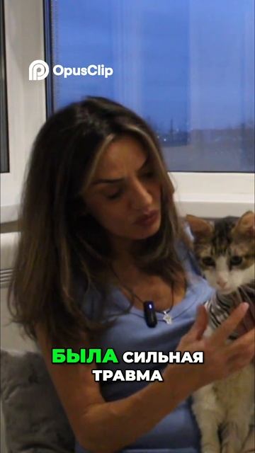 История кота Платоши смотреть онлайн